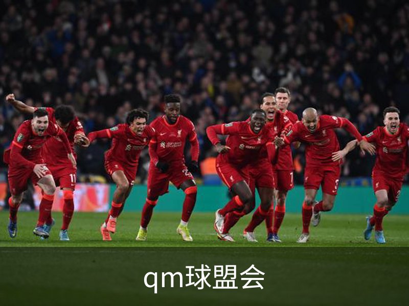 qm球盟会介绍